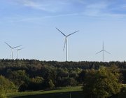 Windpark Münsterwald