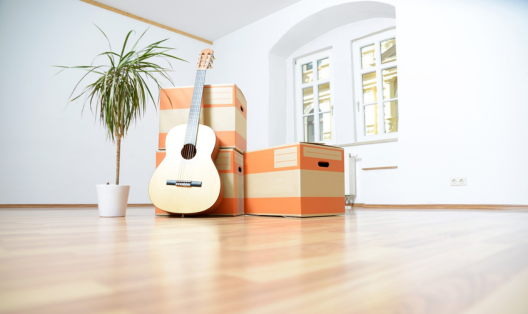 Leerer Raum mit Palme, Gitarre und Umzugskartons