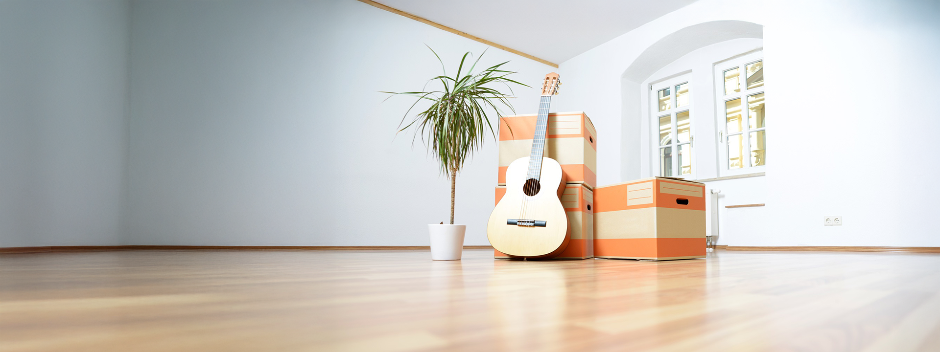 Leere Wohnung mit Umzugskartons, Gitarre und Palme