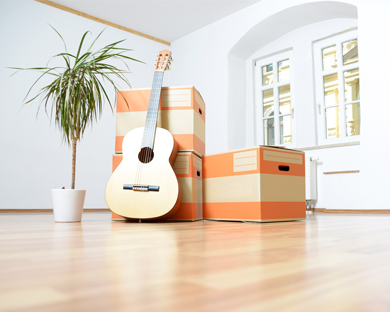 Leeres Wohnzimmer mit Palme und Gitarre vor drei großen Umzugskartons